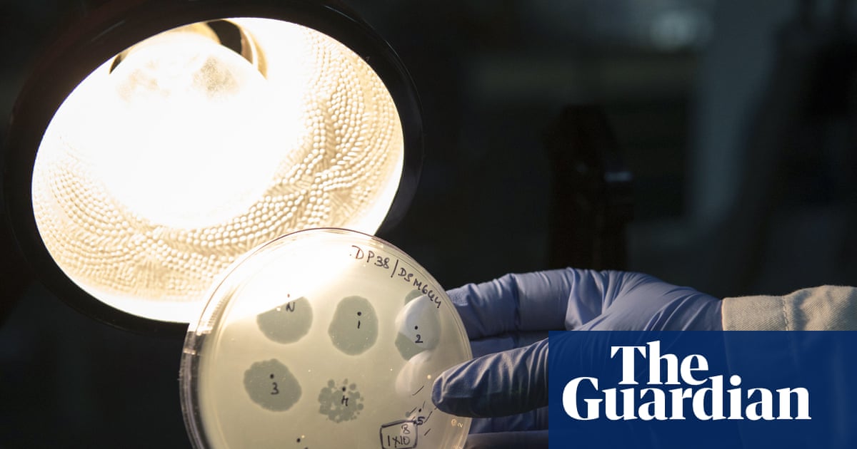 Preocupaciones de seguridad ante los primeros virus diseñados por IA: ¿avance médico o riesgo biológico?