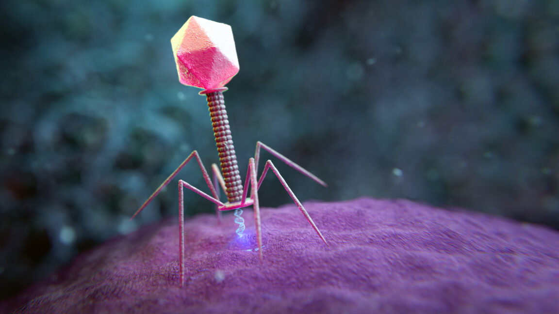 Modelos de genomas grandes: la nueva frontera en el diseño de virus