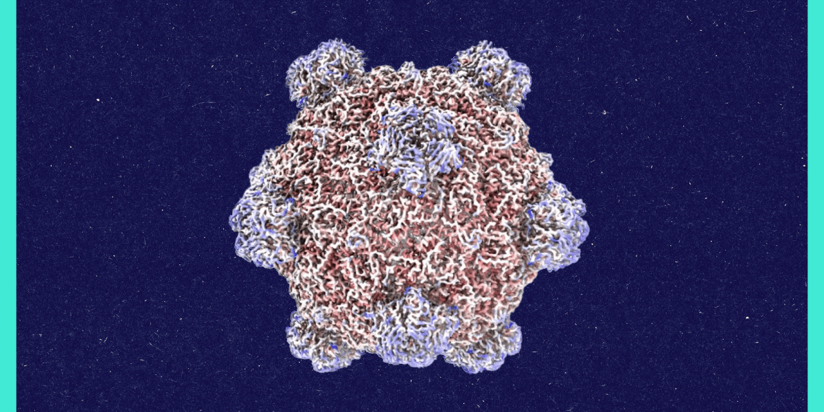 🌐 Investigador de Stanford utiliza IA para diseñar planos genéticos de virus