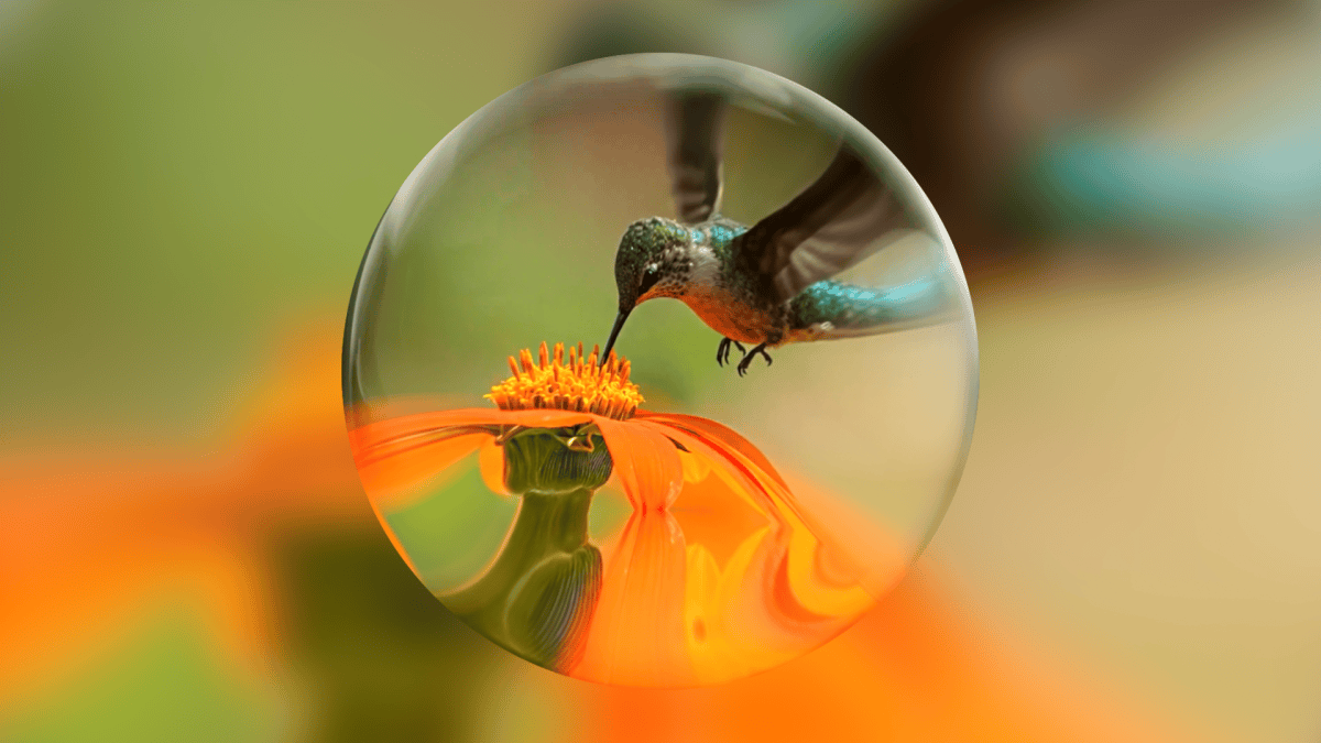 🌐 Google lanza Genie 4 con mundos fotorrealistas y audio en tiempo real